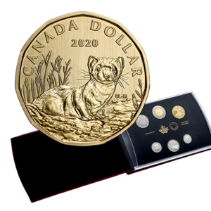 6-Coin Specimen Set – Black-Footed Ferret (2020)